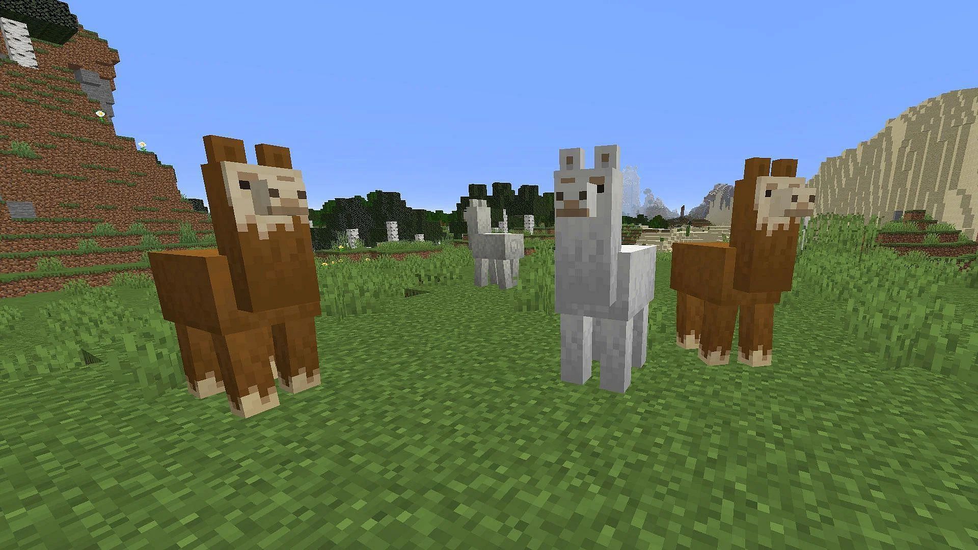 Llamas can only carry items on their backs in Minecraft 1.19 (Image via Mojang)