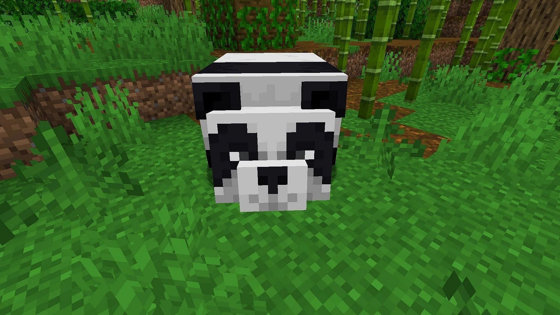 Pandas can be tamed in Minecraft 1.19, but they don&#039;t offer any utility as as a pet (Image via Mojang)
