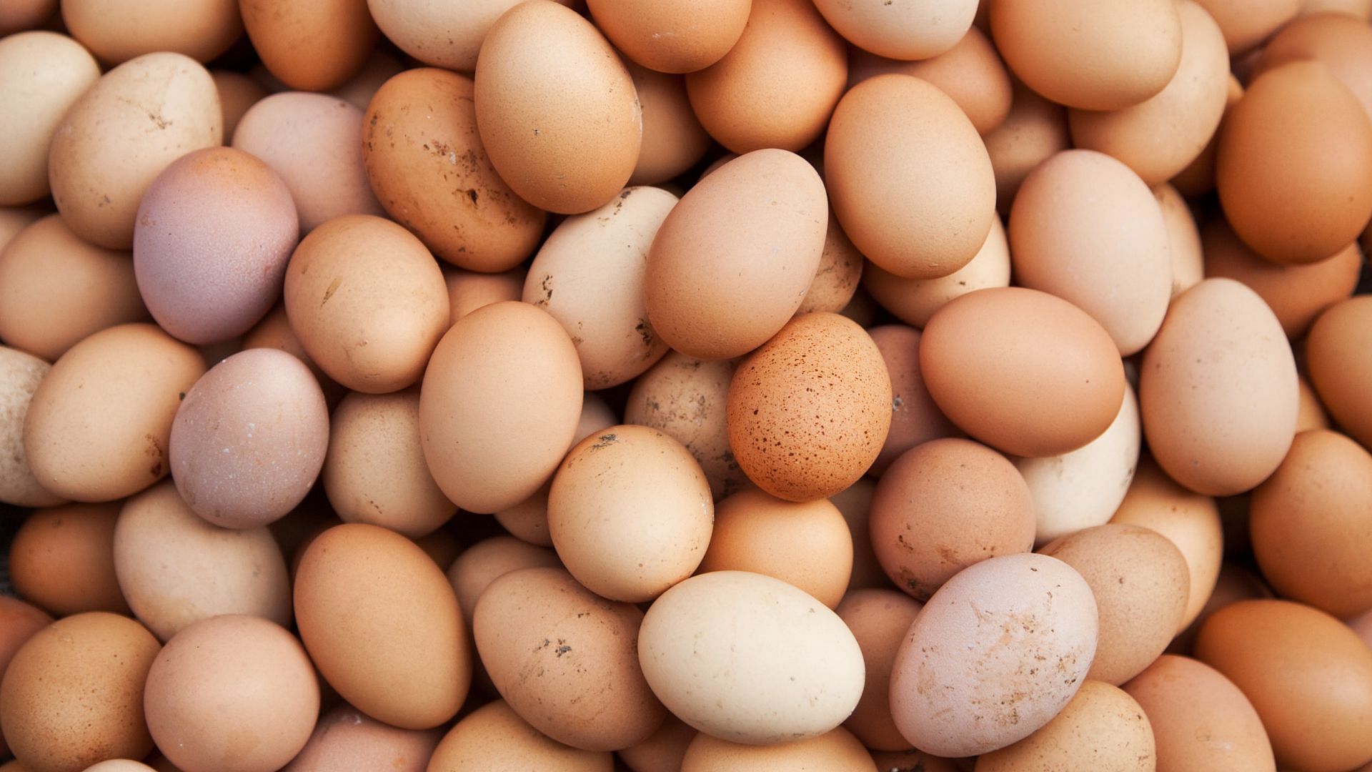 Ever-high egg prices concern US farm groups as they call for an investigation regarding the same (Image via Nikada/Getty Images)