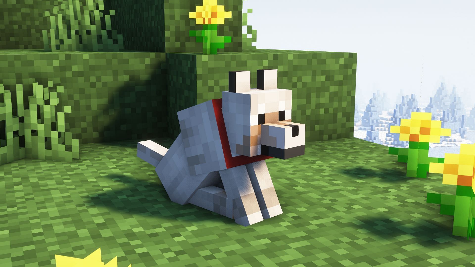 A tamed wolf in Minecraft (Image via Mojang)