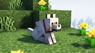 How To Tame A Wolf In Minecraft 2023 