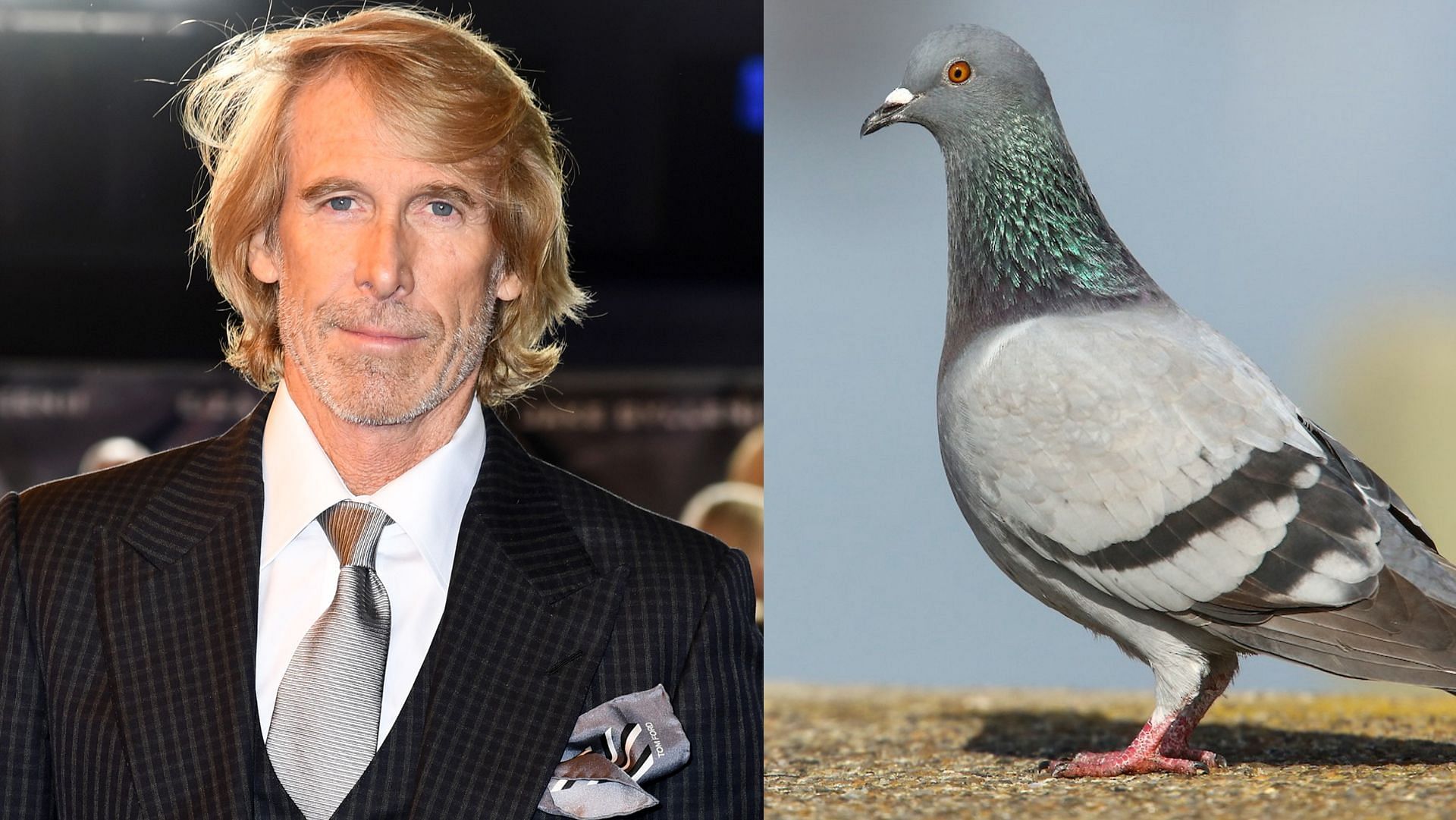 Hollywood director Michael Bay, whose current net worth is an estimated $500 million, gets charged with killing a pigeon during a movie shoot in Italy in 2018. (Image via Gareth Cattermole/Getty Images, Shutterstock)