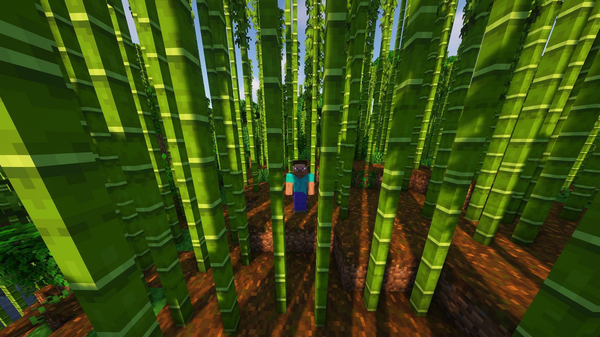 Steve in a bamboo jungle biome (Image via Mojang)