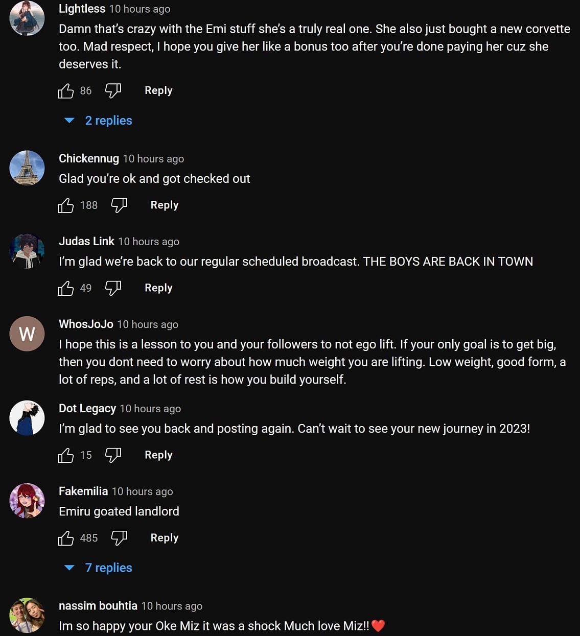 Fans in the YouTube comments section reacting to the streamer&#039;s update (Image via Mizkif/YouTube)
