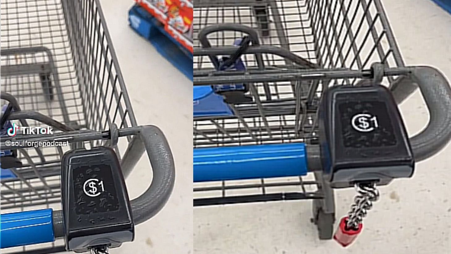 "No way in hell they charge for that" Walmart shopping carts