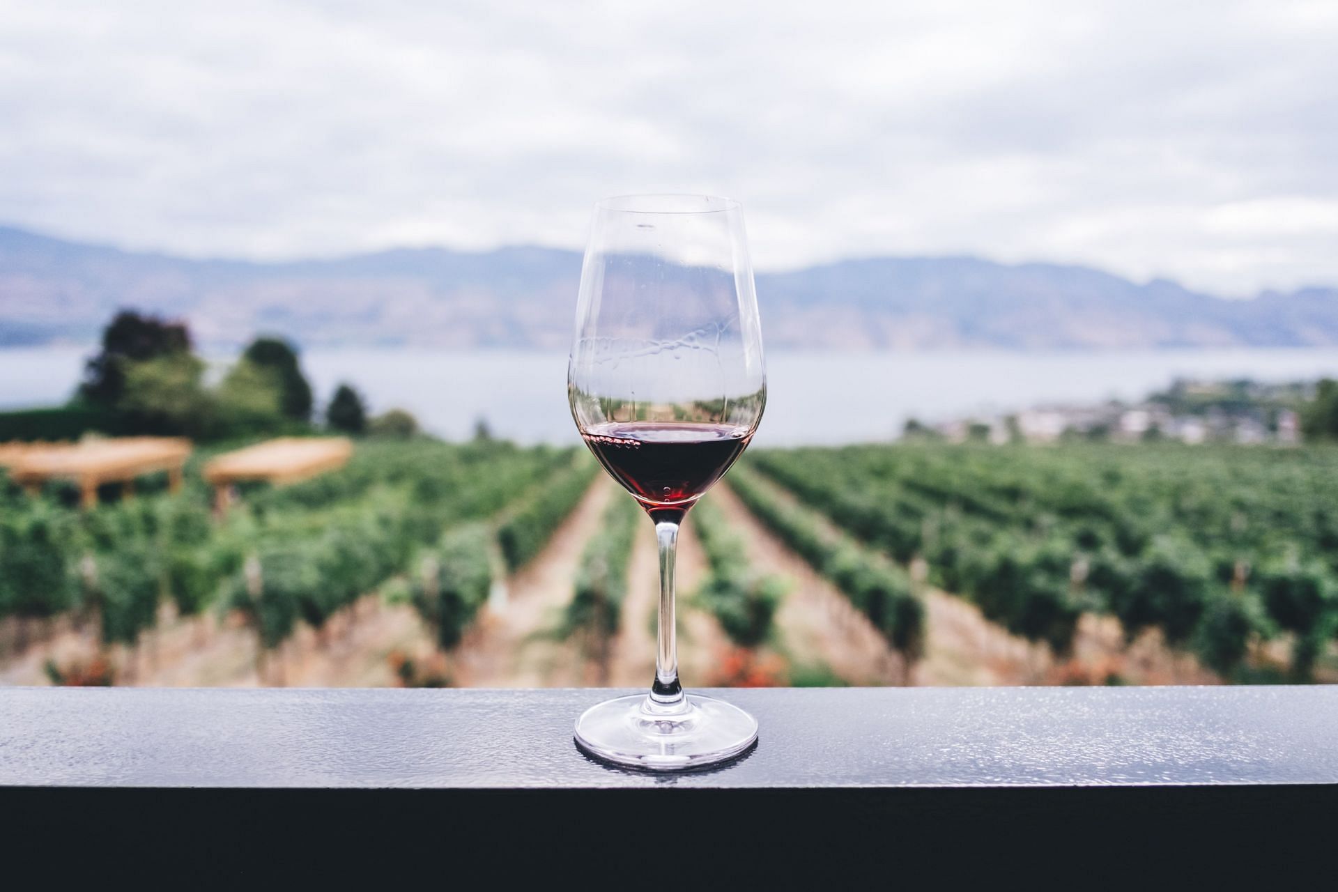 Marsala wine is a type of fortified wine (Image via Unsplash/Kym Ellis)