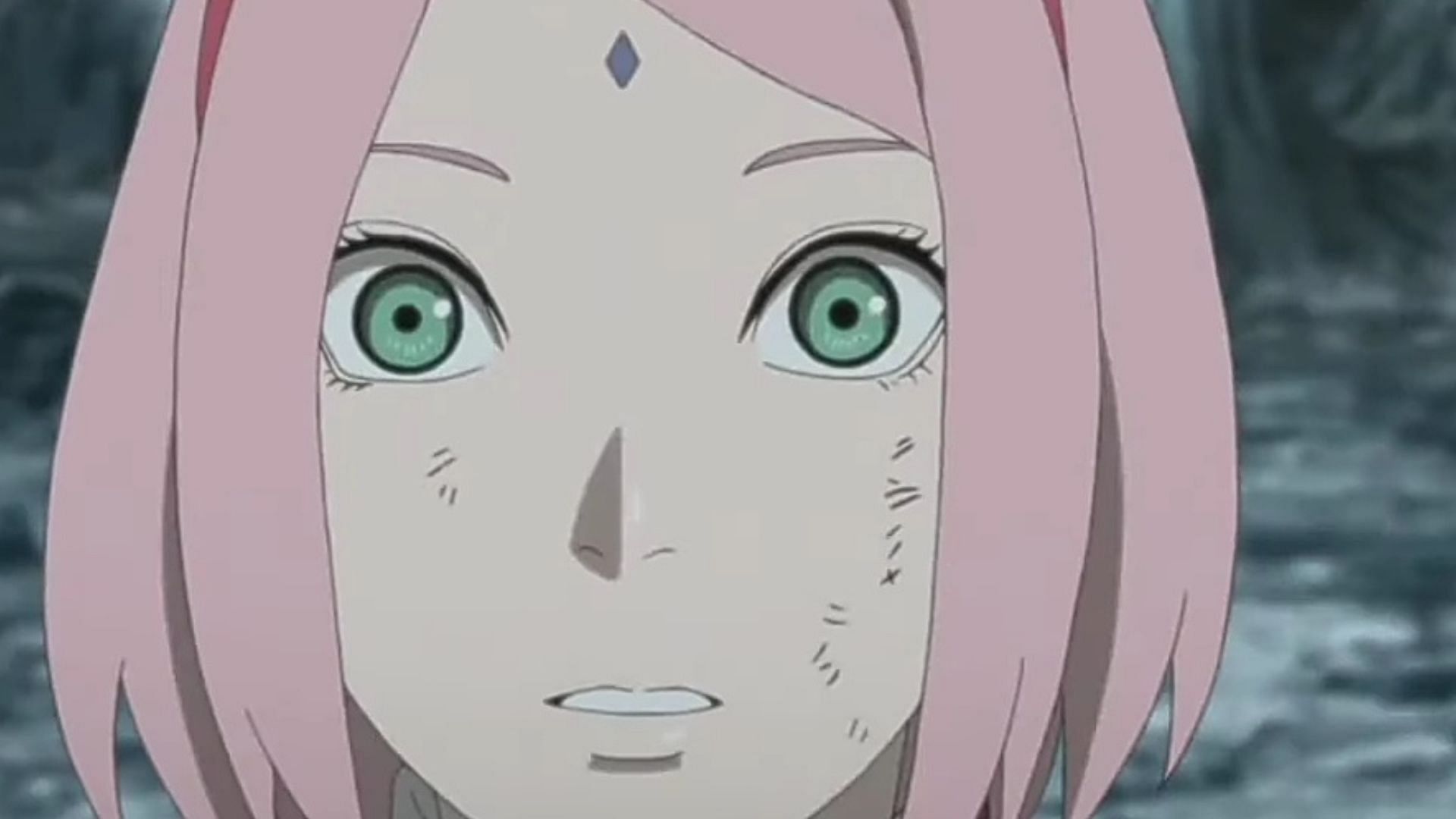 Sakura as seen in the anime (Image via Studio Pierrot)