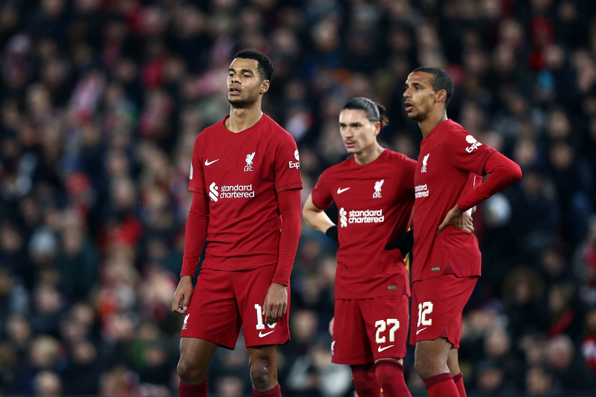 Fabinho believes Gakpo (left) will feel the love from Anfield.