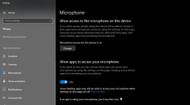 Allowing the microphone permission in Windows (Image via Microsoft)