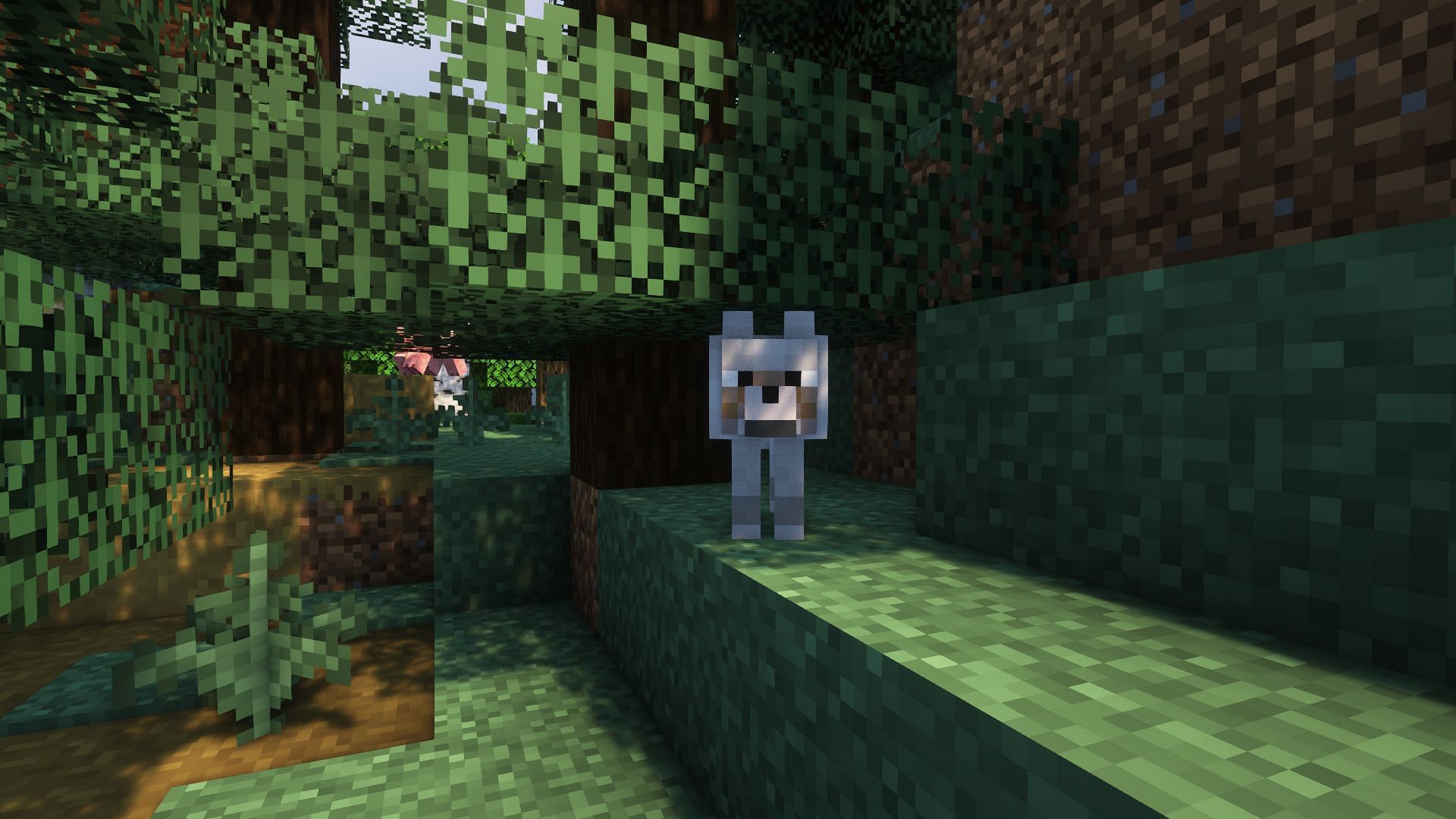 A naturally spawned wolf in the forest (Image via Mojang)