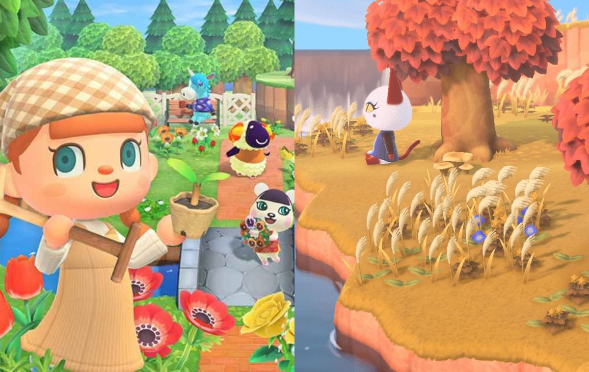 How to get wheat in Animal Crossing New Horizons