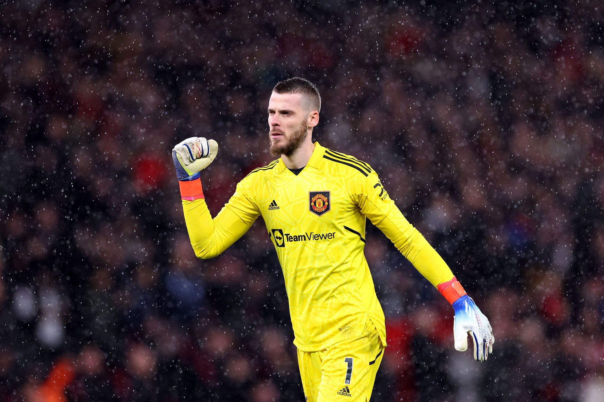 De Gea earned his clean sheet with an assured display in goal for United