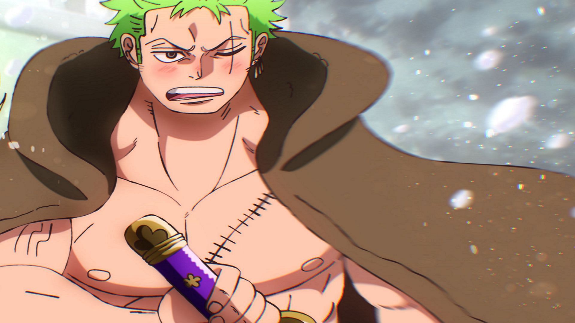 Did One Piece 1073 hint at Zoro being Yonko level already?