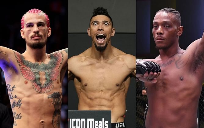 5 best UFC fighters to have graduated from Dana White's Contender Series