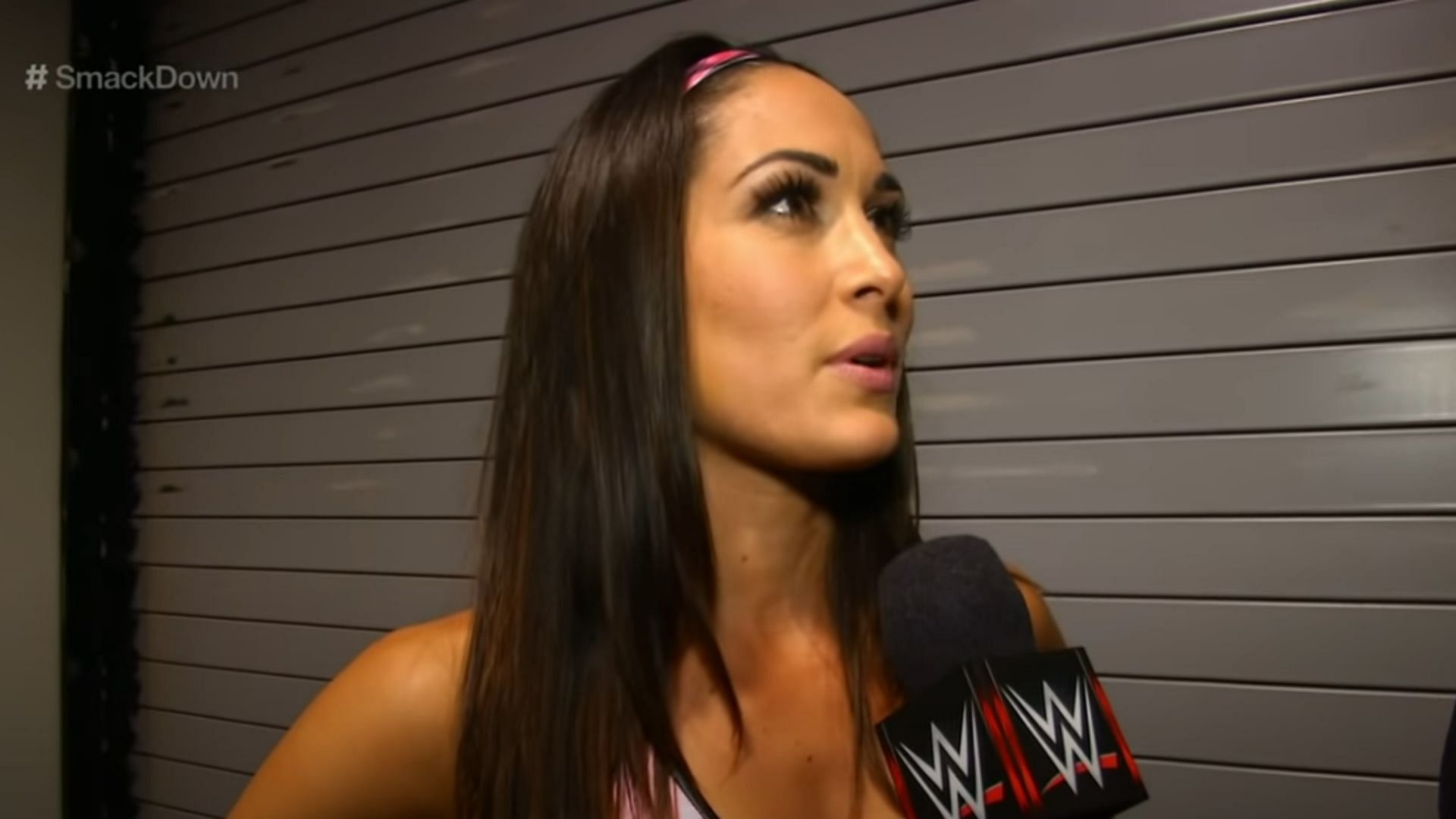 Brie Bella is a WWE Hall of Famer.