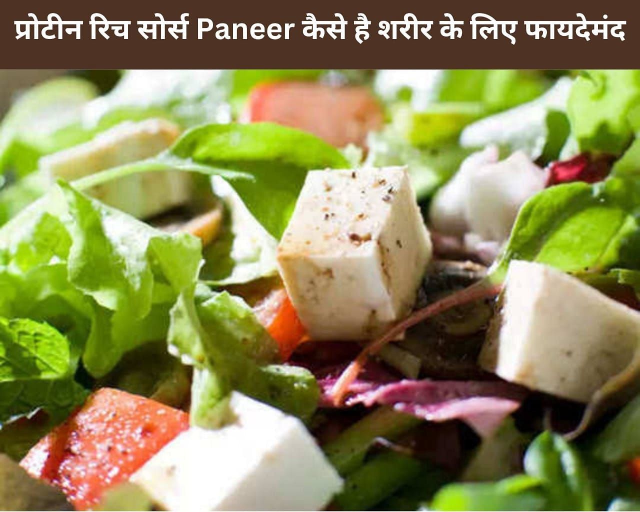 प्रोटीन रिच सोर्स Paneer कैसे है शरीर के लिए फायदेमंद (फोटो - sportskeedaहिन्दी)