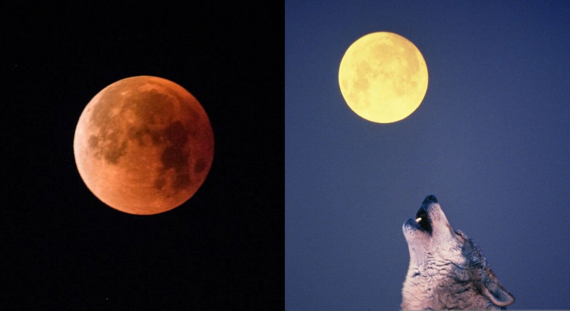 The Wolf Moon is set to take place on January 6 (Image via Getty Images)