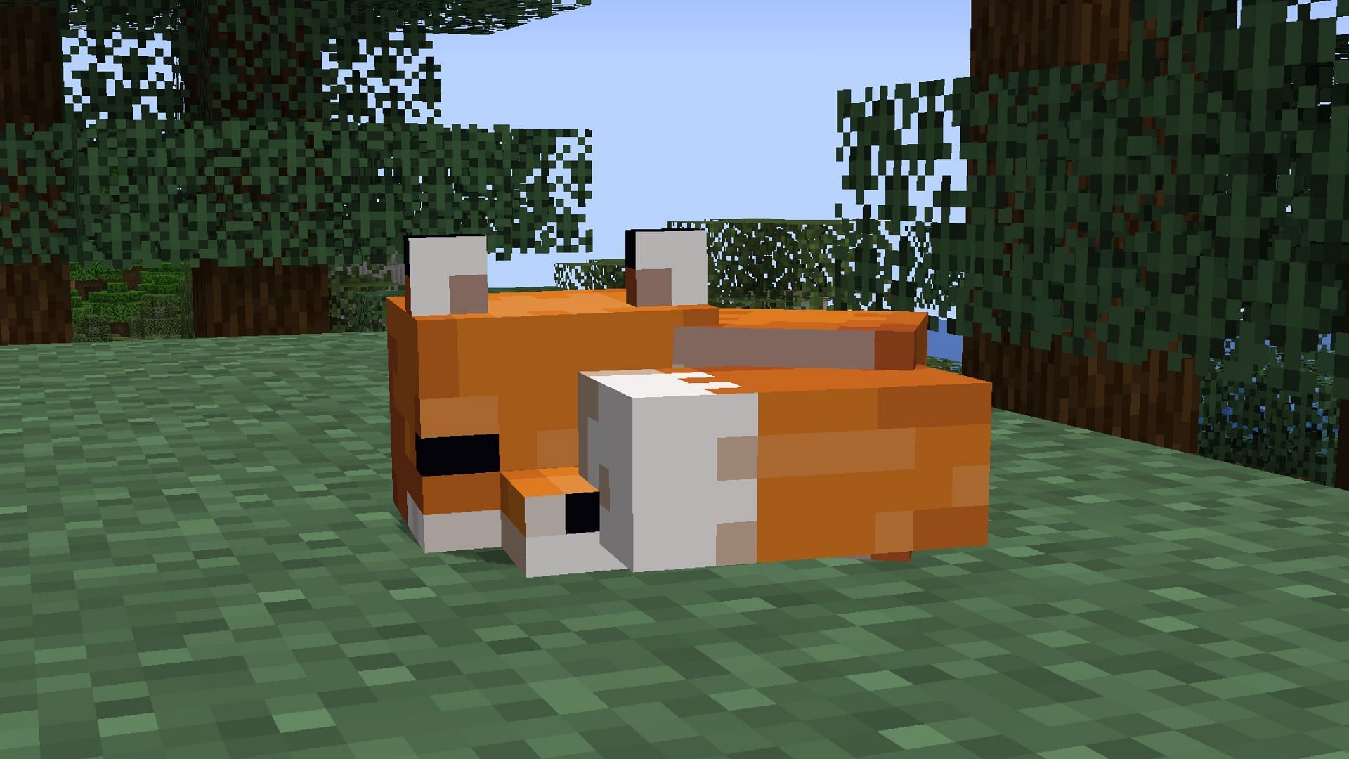 Once the tamed baby fox matures, it will no longer run anywhere and help players in Minecraft 1.19 (Image via Mojang)