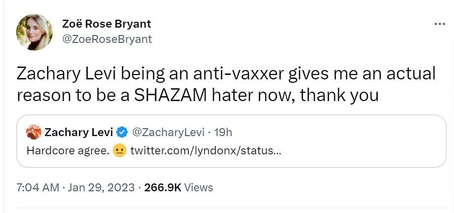 Comment criticizing Levi (Image via Twitter/@ZoeRoseBryant)