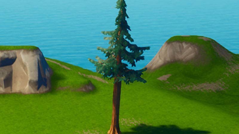 Les Arbres Sont Une Excellente Source De Bois (Image Via Epic Games)