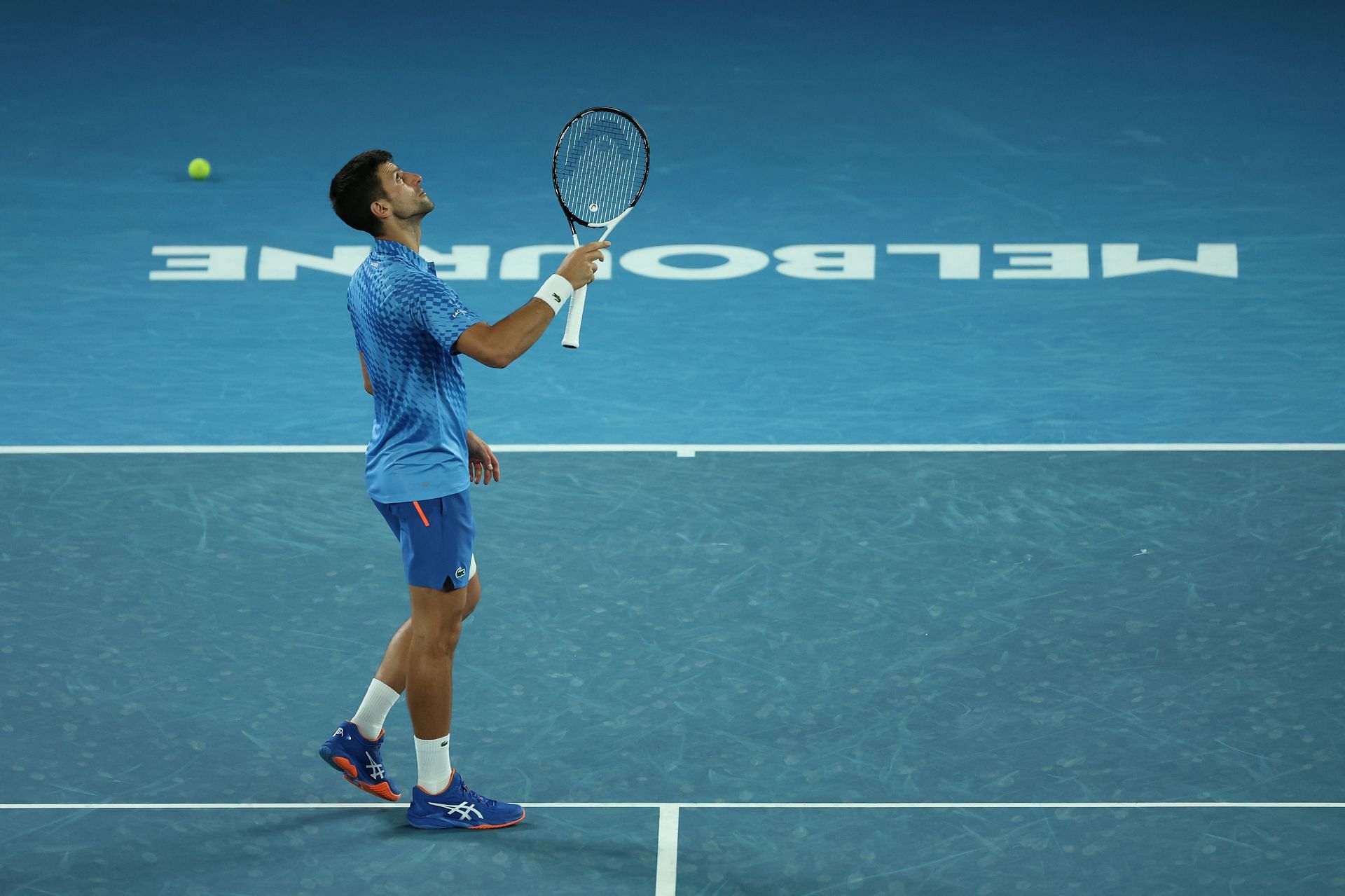 Novak Djokovic celebrating his win over Alex de Minaur