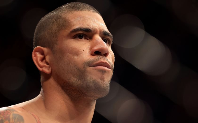 Alex Pereira UFC champion Alex Pereira walks a huge lion, feeds a bear and more during his