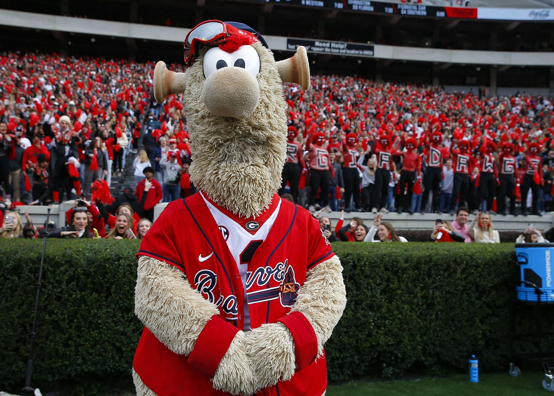 Braves mascot Blooper pokes fun at trophy making company for misspelling  'Valuable' as 'Valuble' in Cy Young Awards