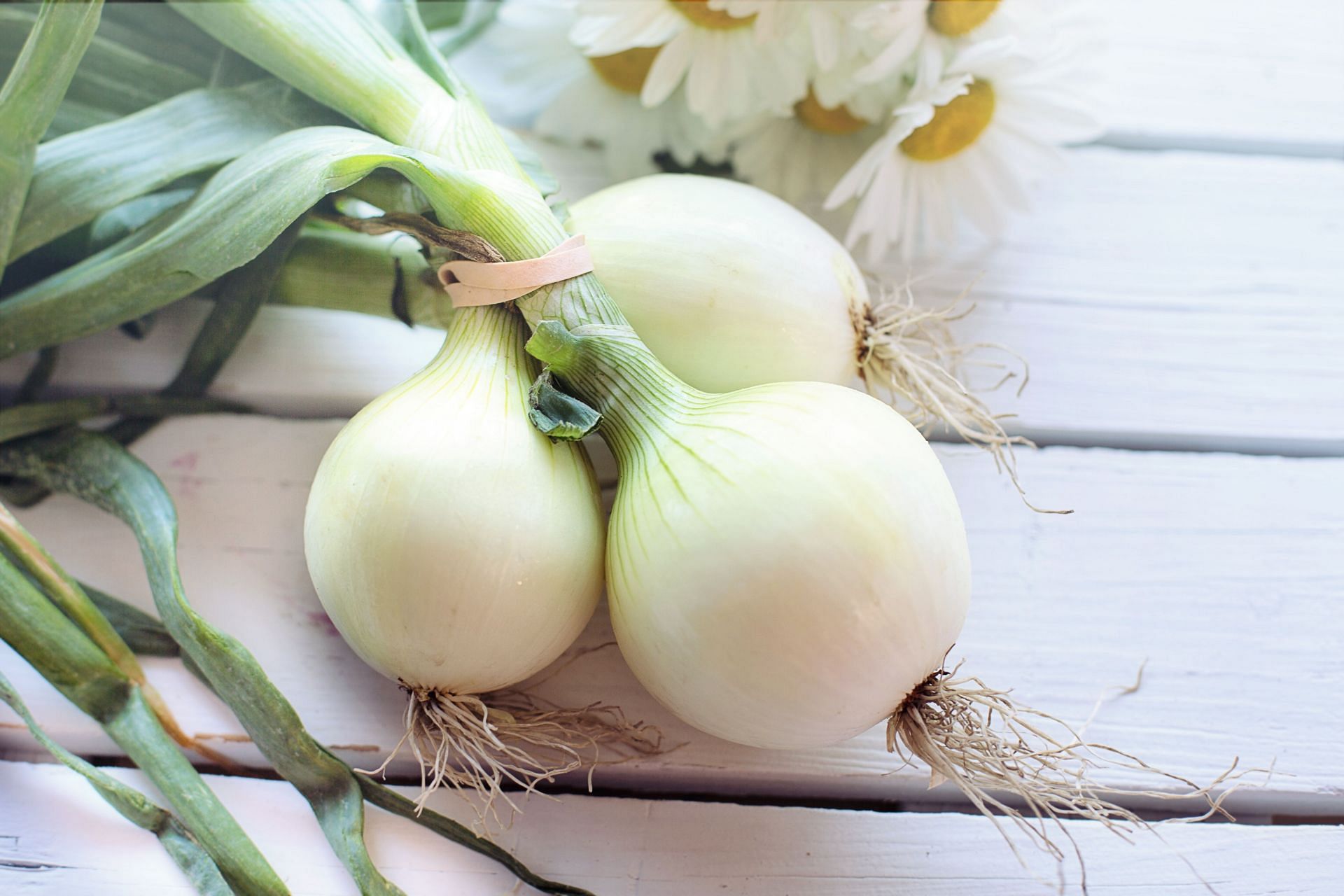 Onions boosts the production of testosterones. (Image via Pexels/Pixabay)