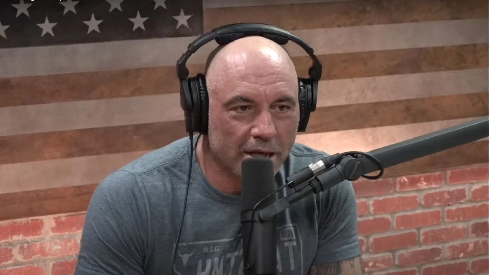 The Joe Rogan Experience podcast featuring host Joe Rogan