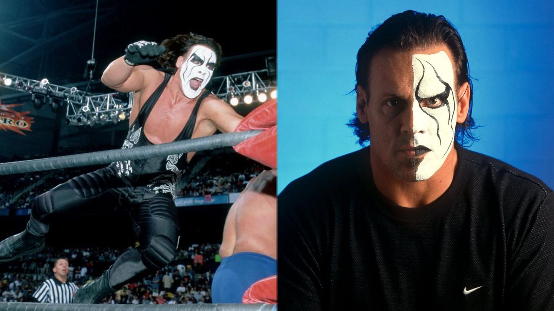 Sting was once called The Franchise of WCW after holding 14 championships in the promotion.