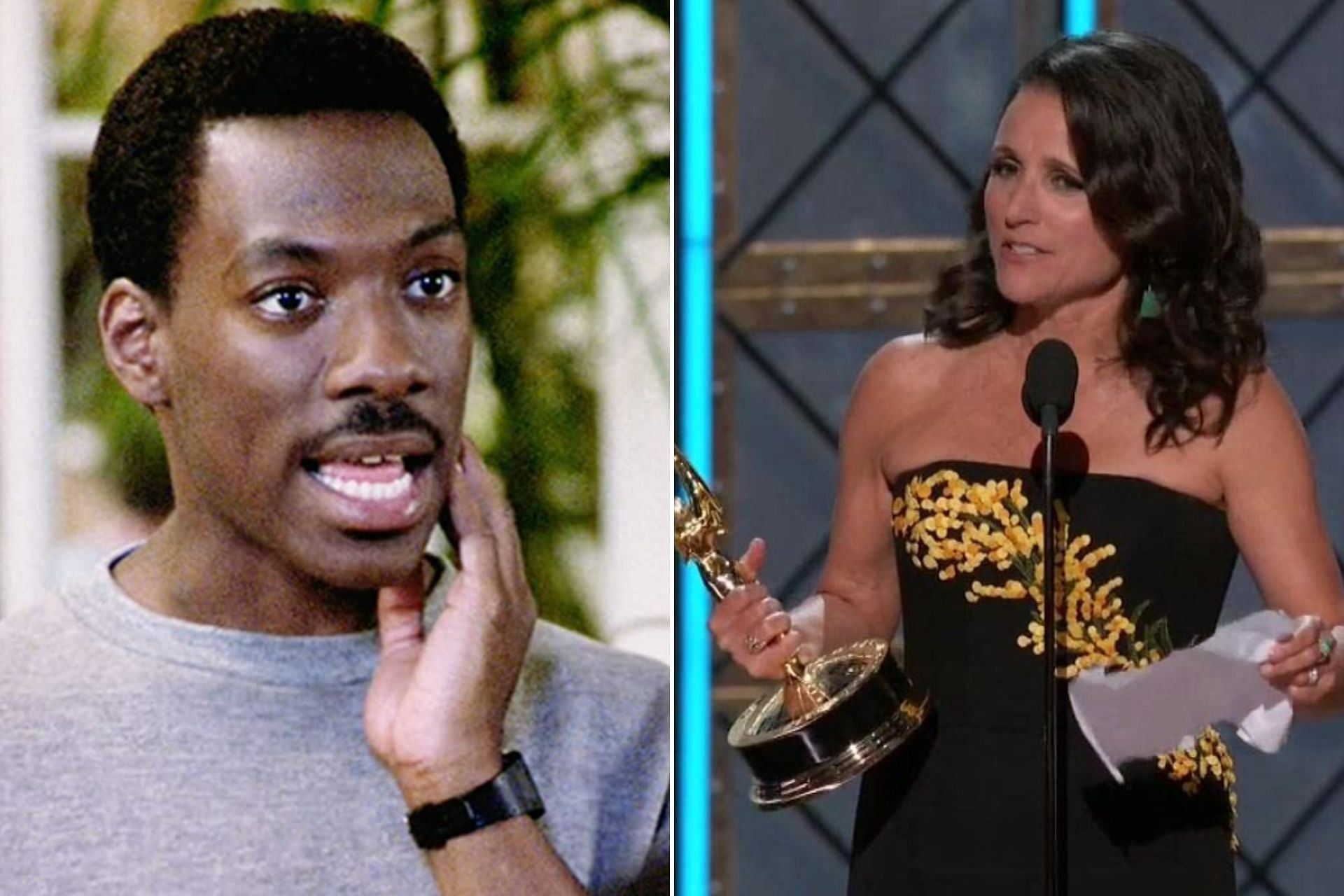 Eddie Murphy and Julia Louis-Dreyfus (Murphy