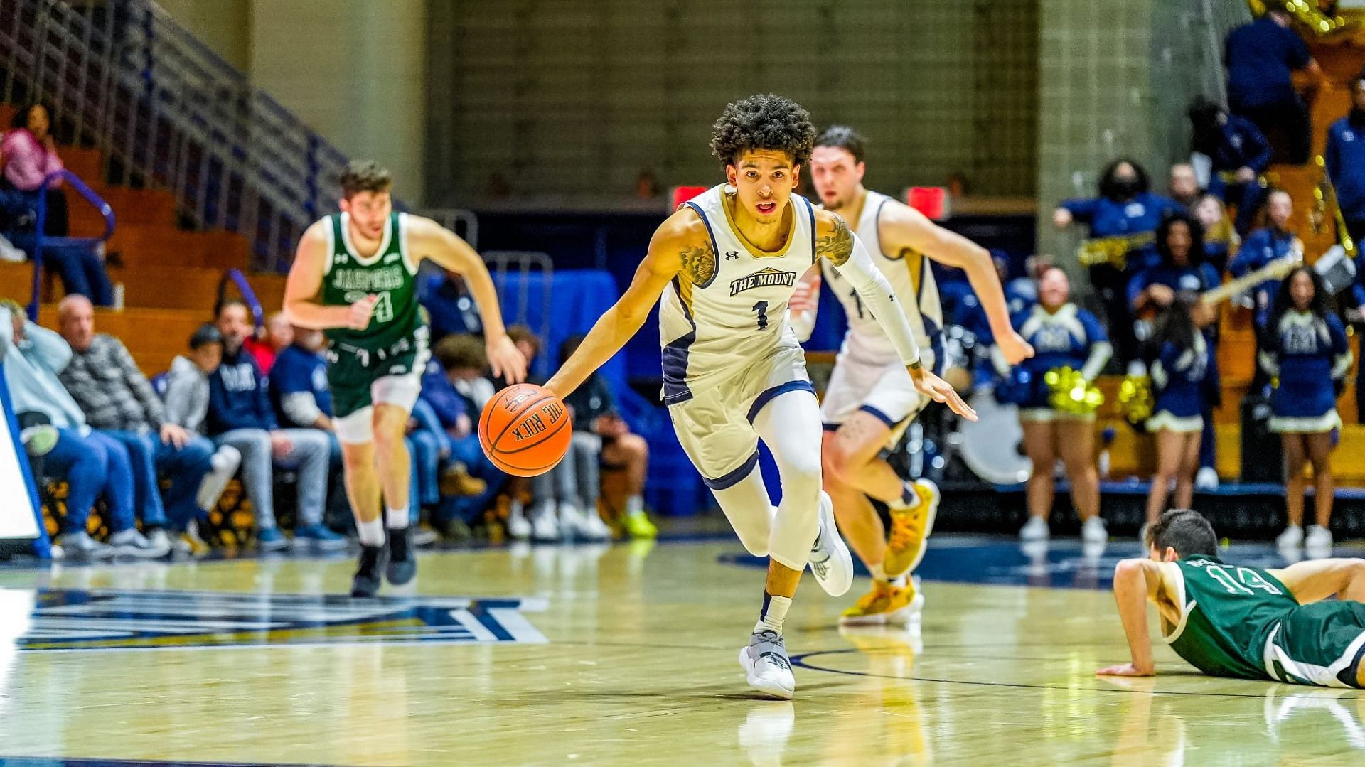 Quinnipiac vs Mount St. Mary