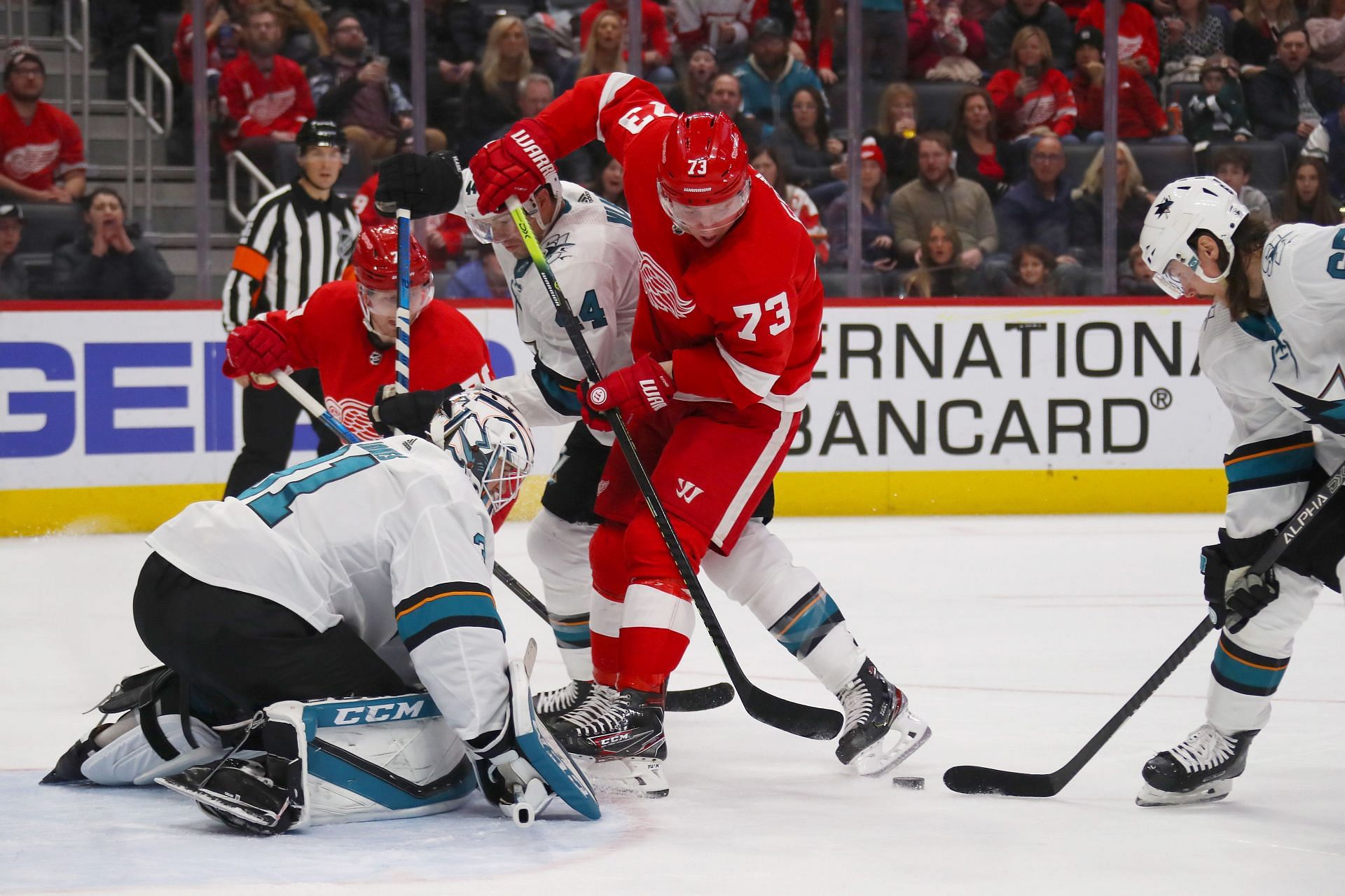 San Jose Sharks v Detroit Red Wings