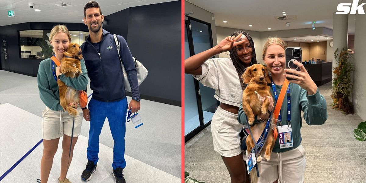 Daria Saville along with her dog met Djokovic and Coco Gauff, among others