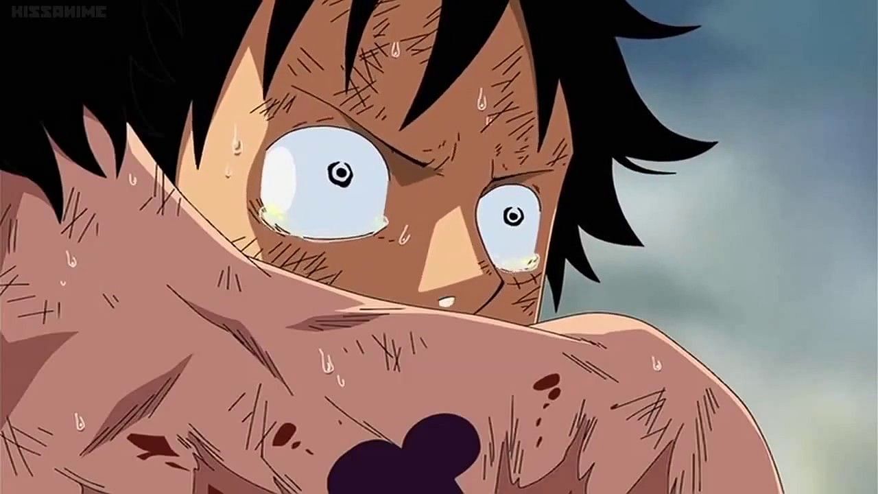 Luffy&#039;s reaction mirrors the audience&#039;s (Image via Toei Animation)