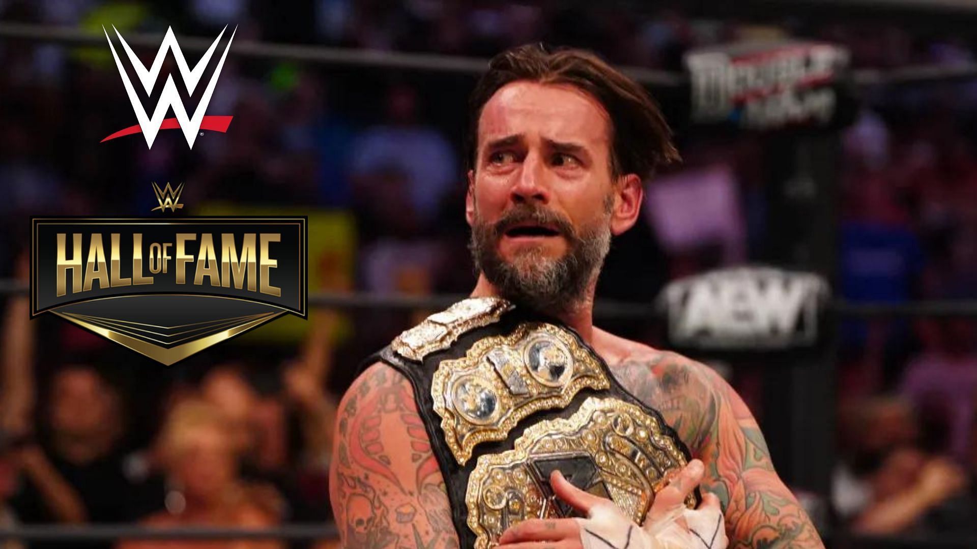 CM Punk won the AEW world champion at Double or Nothing