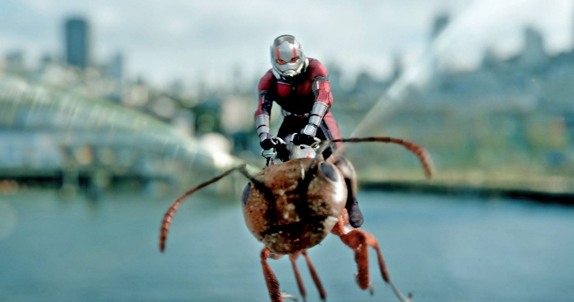 Ant-Man: Bringing Laughter to the Intense Marvel Cinematic Universe (Image via Marvel Studios)