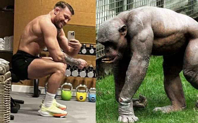 Fans mock Conor McGregor after he compares his current physique to a gorilla