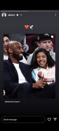 Ajla Tomljanovic's Instagram story