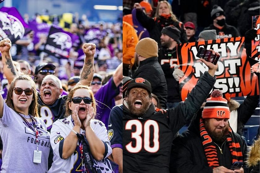 NFL analyst ridicules league's coin-flip decision for Ravens-Bengals  home-field advantage