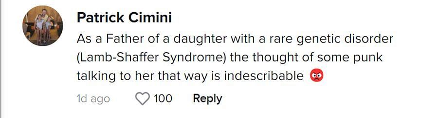 A comment critical of the wrongdoer (Image via TikTok/ @Patrick Cimini)