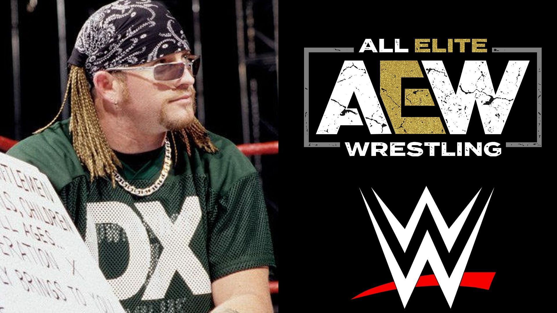 Who is in the right between Road Dogg and this AEW star?