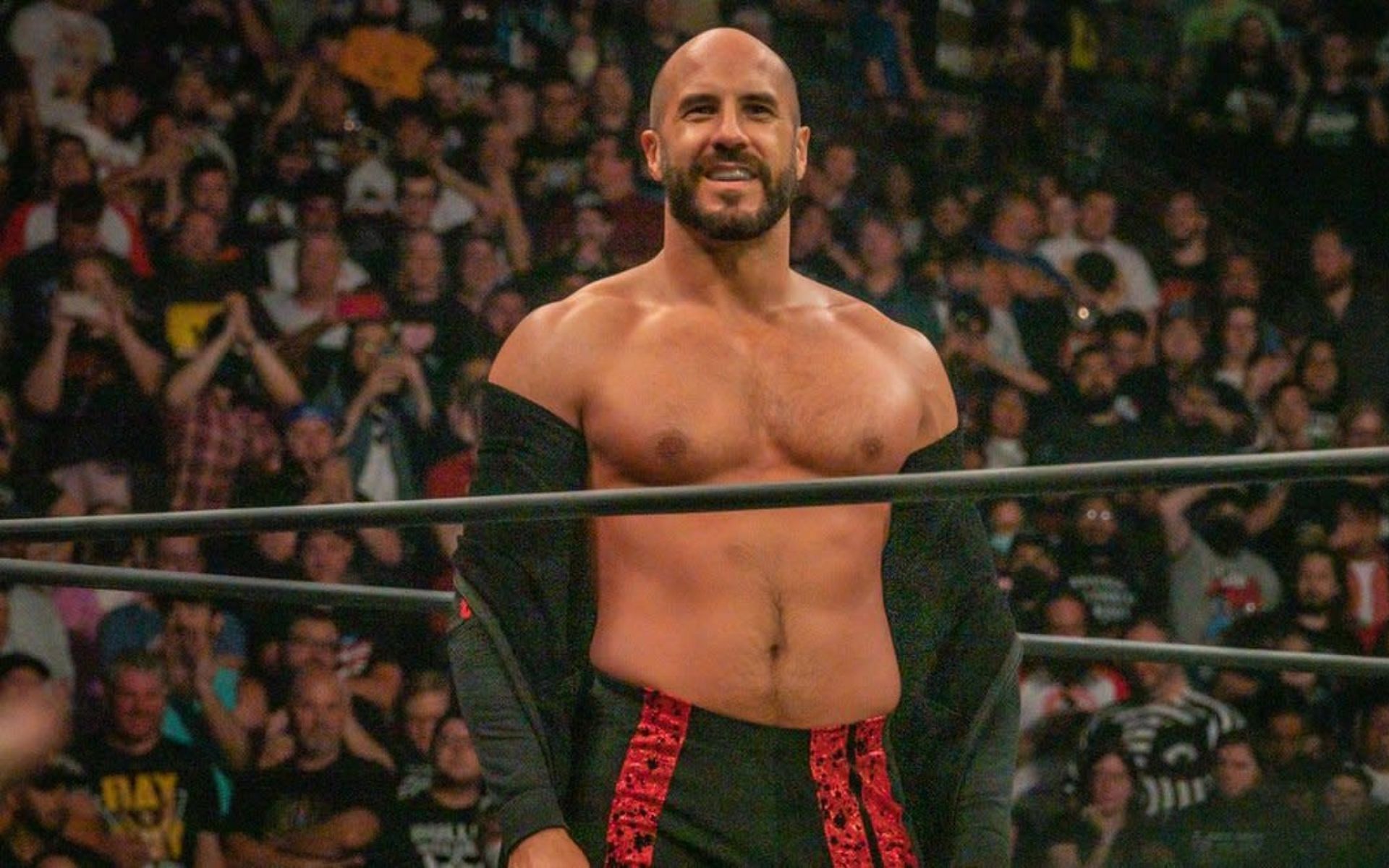 Claudio Castagnoli is in his second reign as ROH Champion