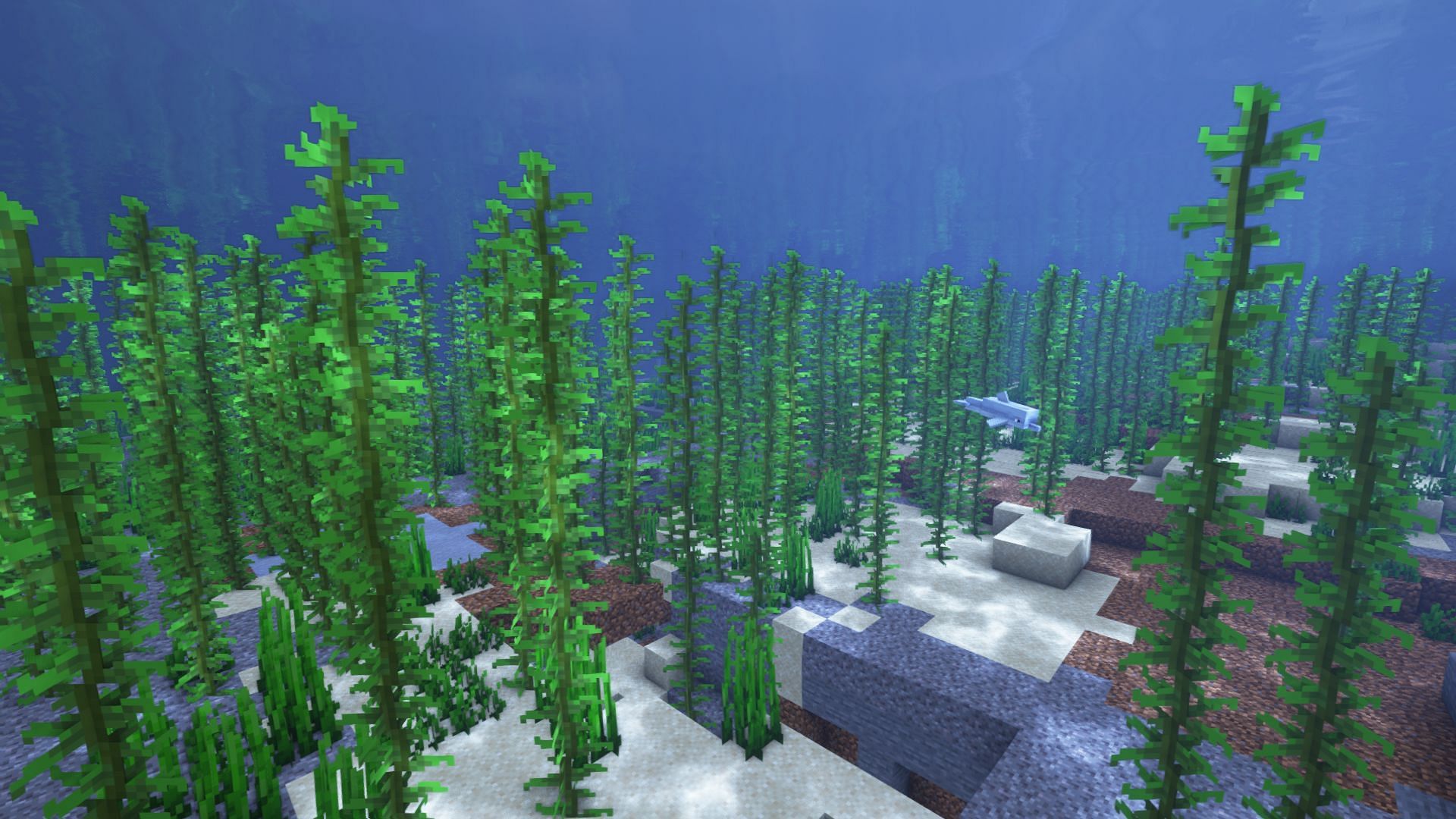 Kelp in an ocean biome (Image via Mojang)