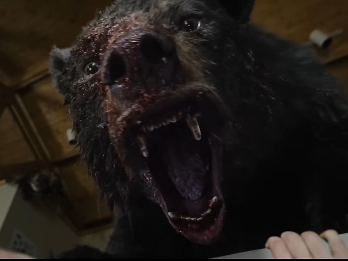 A still from Cocaine Bear (Image via Universal)