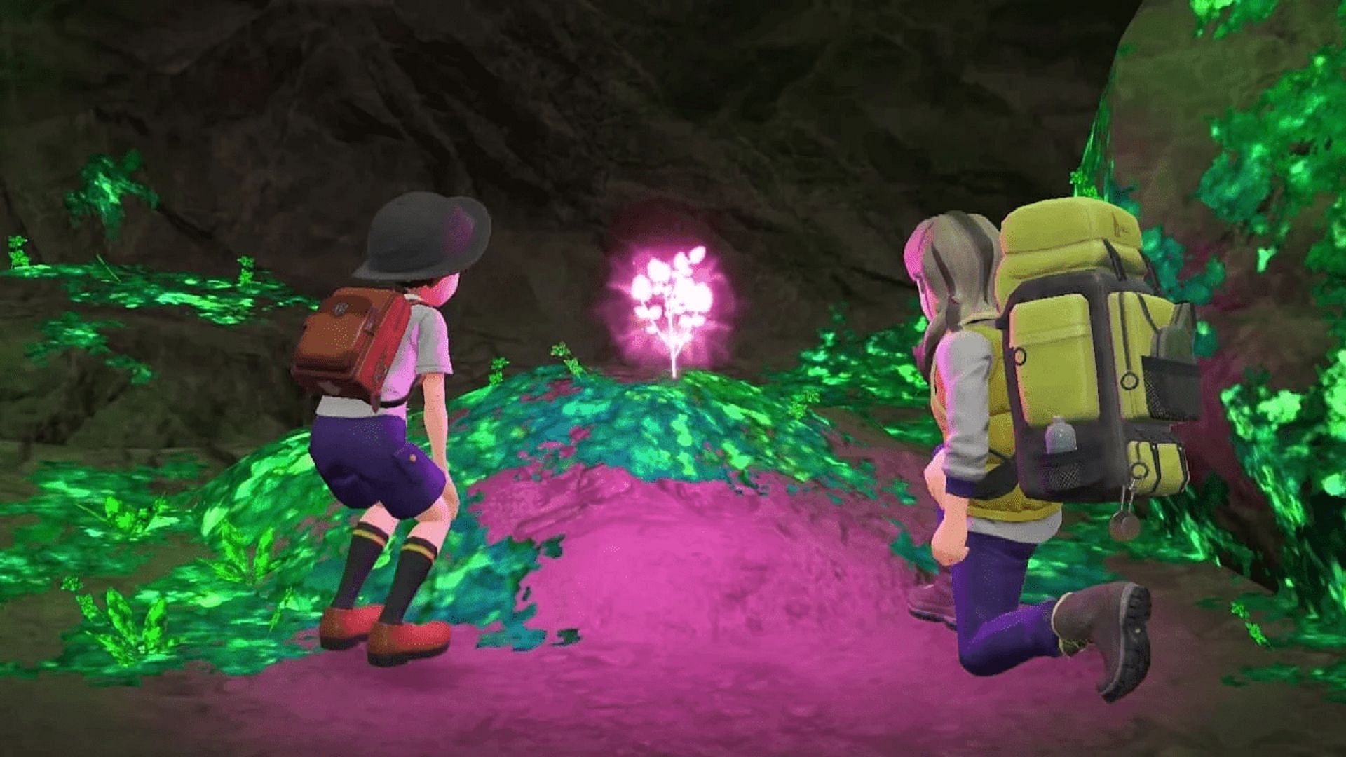 Herba Mystica is necessary to make Shiny Dark Sandwich in Pokemon Scarlet and Violet (Image via Game Freak)