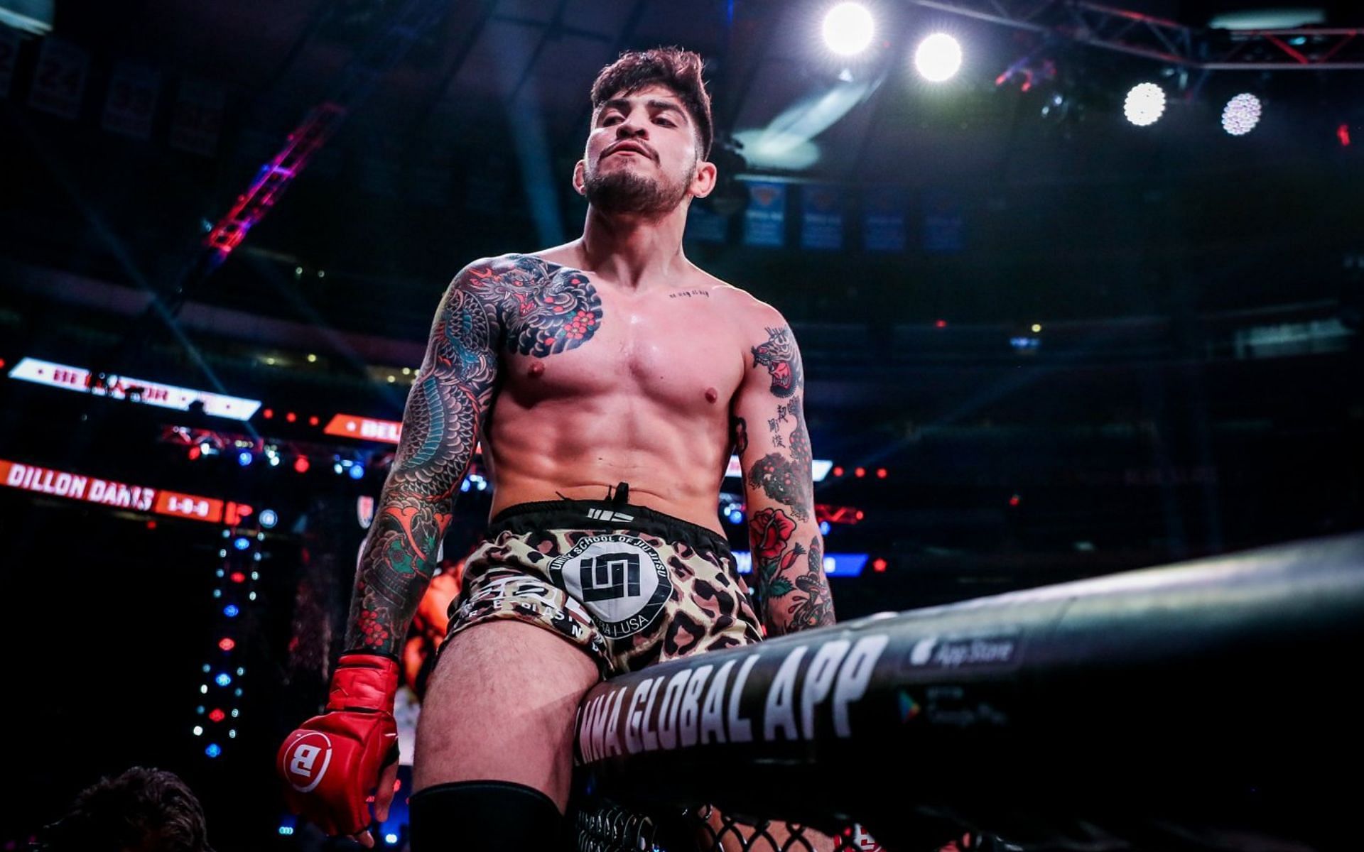 Dillon Danis {Photo credit: @BellatorMMA - Twitter}