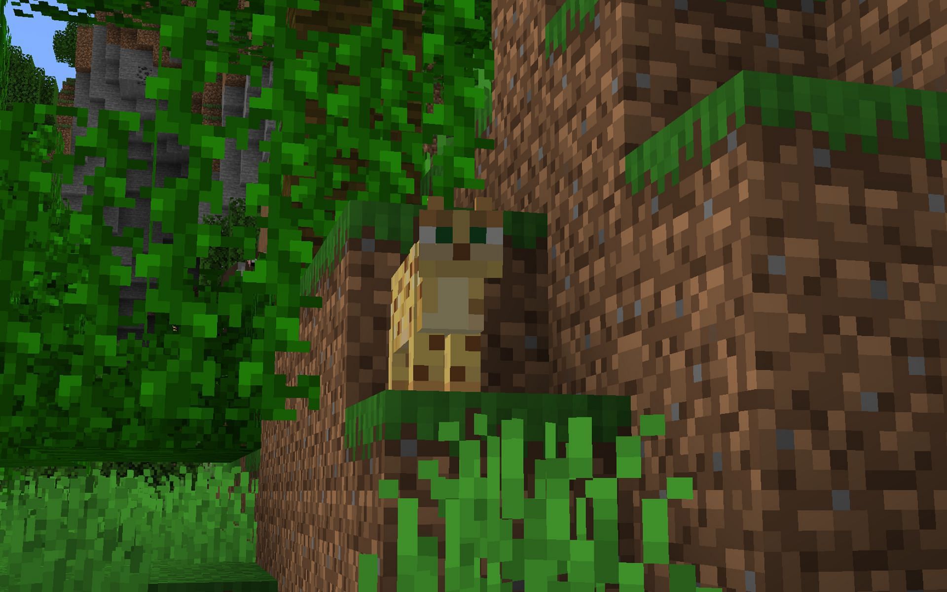 Ocelot in Minecraft (Image via Mojang)