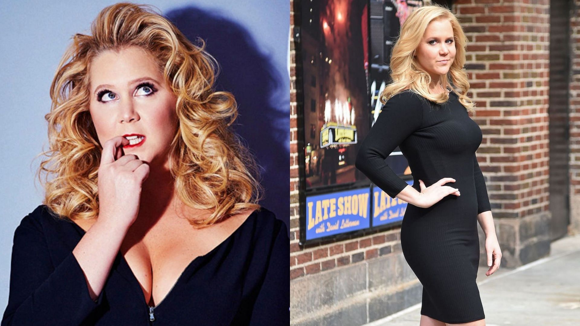 Hollywood star and stand-up comedian Amy Schumer