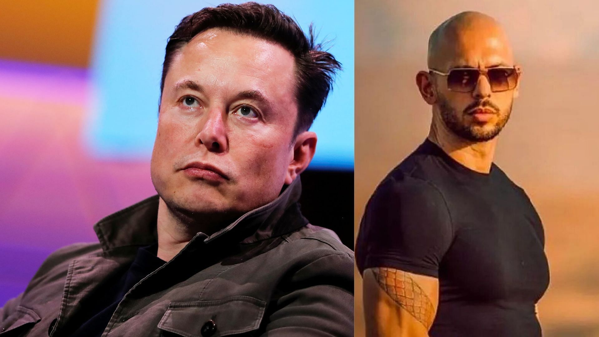 Elon Musk recently took a shot at Logan Paul and Andrew Tate
